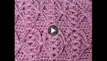 Crochet : Punto Fantasia Mariposa en relieve